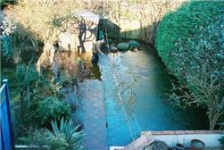 David Macdonald, BGS © NERC 2003 - a garden in Oxford flooded by groundwater